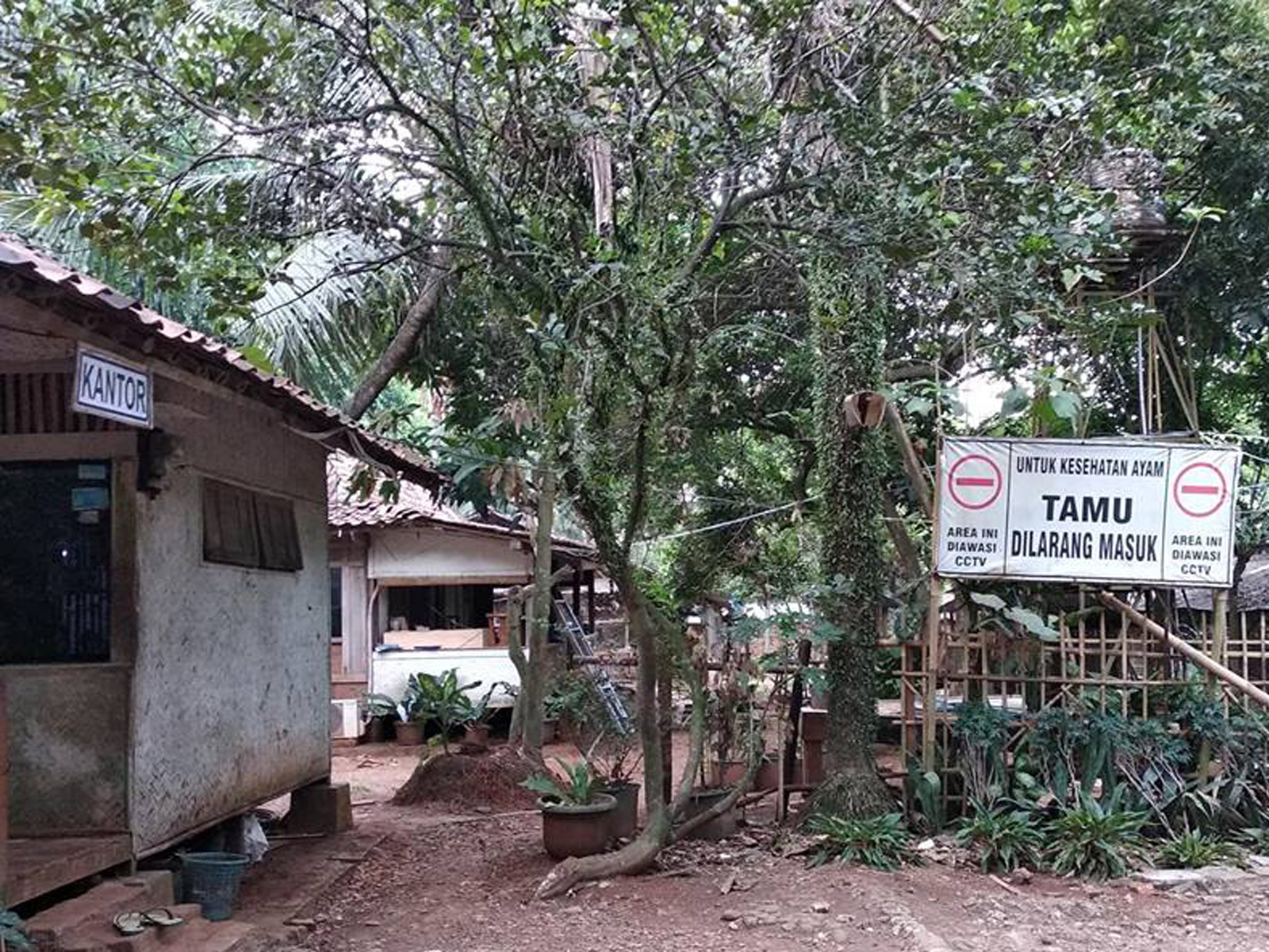 Jasa Pengadaan dan Instalasi CCTV di Peternakan Citra Lestari Farm Setu Bekasi